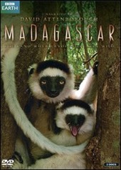 Copertina  Madagascar