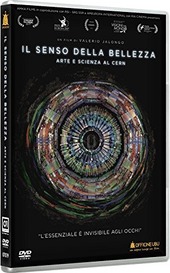 Copertina  Il senso della bellezza : arte e scienza al Cern