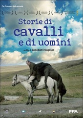 Copertina  Storie di cavalli e di uomini