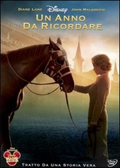 Copertina  Un anno da ricordare