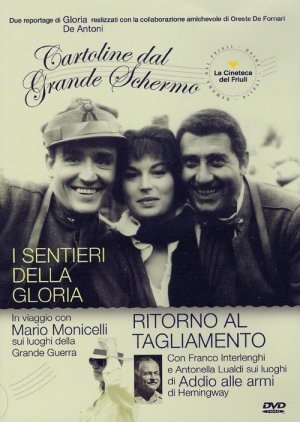 Copertina  I sentieri della gloria