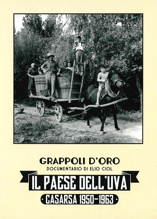 Copertina  Il paese dell'uva : Casarsa 1950-1963 ; Grappoli d'oro