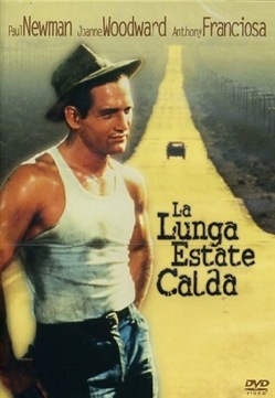Copertina  La lunga estate calda