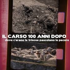 Copertina  Il Carso 100 anni dopo : dove c'erano le trincee pascolano le pecore