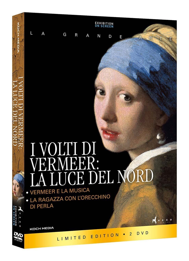Copertina  I volti di Vermeer : la luce del Nord