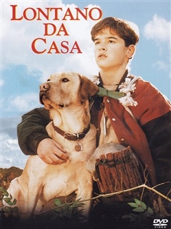 Copertina  Lontano da casa