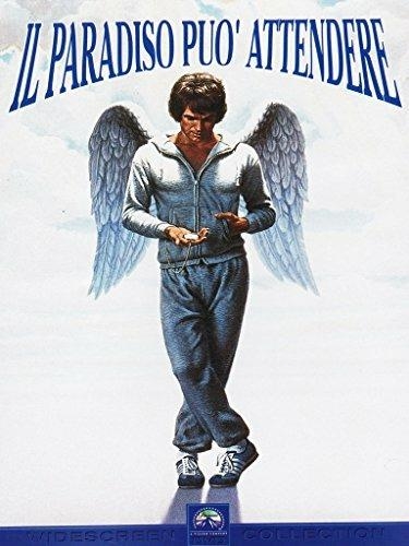 Copertina  Il paradiso può attendere