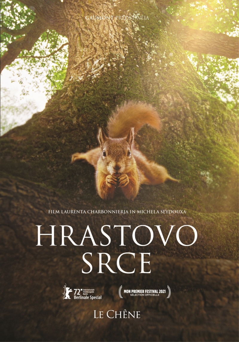 Copertina  Hrastovo srce = Le chêne
