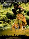 Copertina  people of the wind