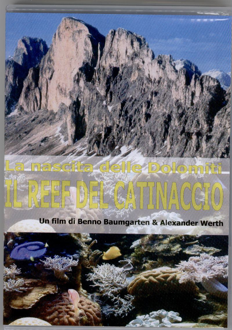 Copertina  la nascita delle dolomiti : il reef del catinaccio