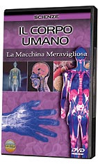 Copertina  Il corpo umano : la macchina meravigliosa