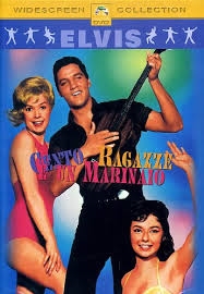 Copertina  Cento ragazze e un marinaio