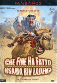 Copertina  che fine ha fatto osama bin laden?