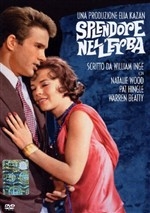 Copertina  Splendore nell'erba