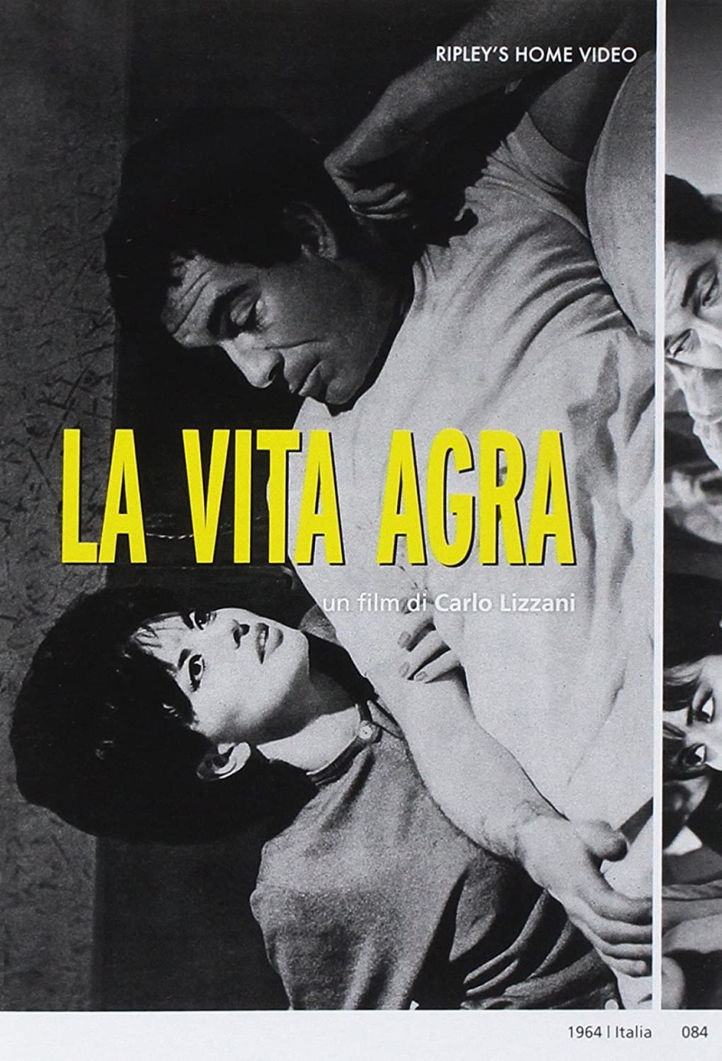 Copertina  La vita agra                                    