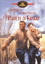 Copertina  la parete di fango