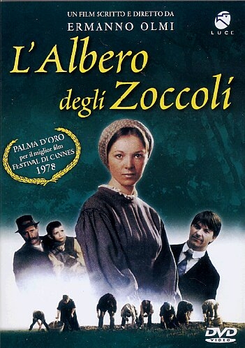 Copertina  L'albero degli zoccoli