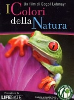 Copertina  I colori della natura