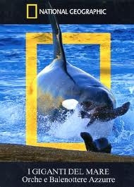 Copertina  I giganti del mare : orche e balenottere azzurre