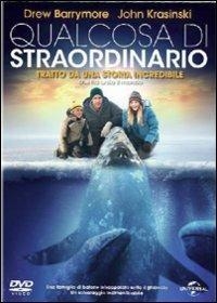 Copertina  Qualcosa di straordinario