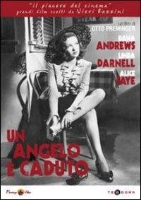 Copertina  Un angelo è caduto