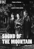Copertina  Sound of the mountain
