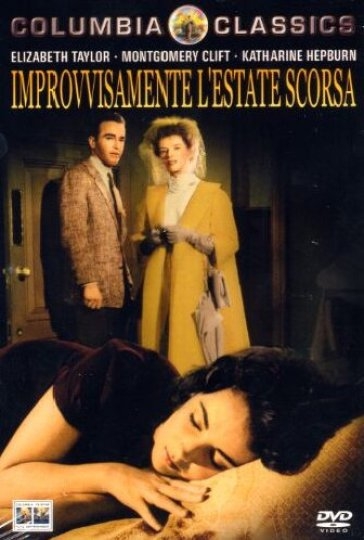 Copertina  Improvvisamente l'estate scorsa