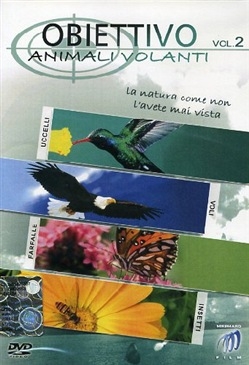 Copertina  Obiettivo animali volanti : la natura come non l'avete mai vista : uccelli, voli, farfalle, insetti