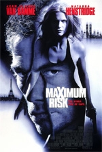 Copertina  Maximum risk