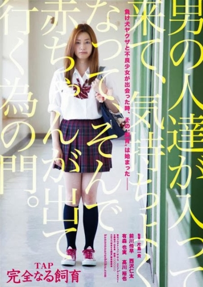 Copertina  TAP Perfect Education
