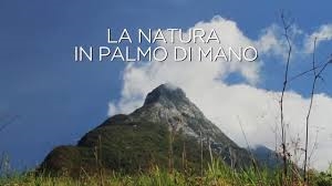 Copertina  La natura in palmo di mano = Narava na dlani