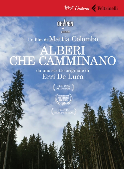 Copertina  Alberi che camminano