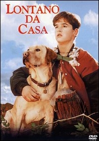 Copertina  Lontano da casa